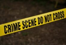 hotline investigation for fraud