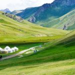 10 Reasons Why You Need Travel Agency Services in Central Asia