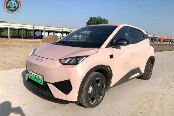 Used Hybrid and Electric Cars from China: Practical Checks for New Buyers