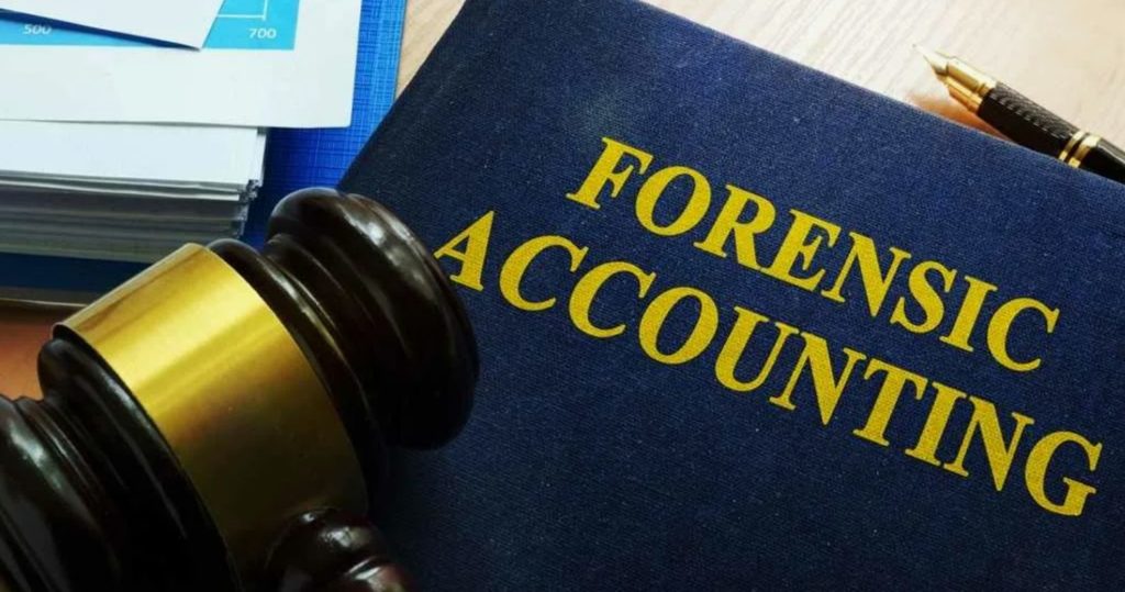 Forensic accounting and financial records in federal criminal cases