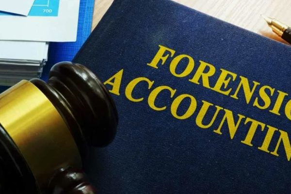 Forensic accounting and financial records in federal criminal cases
