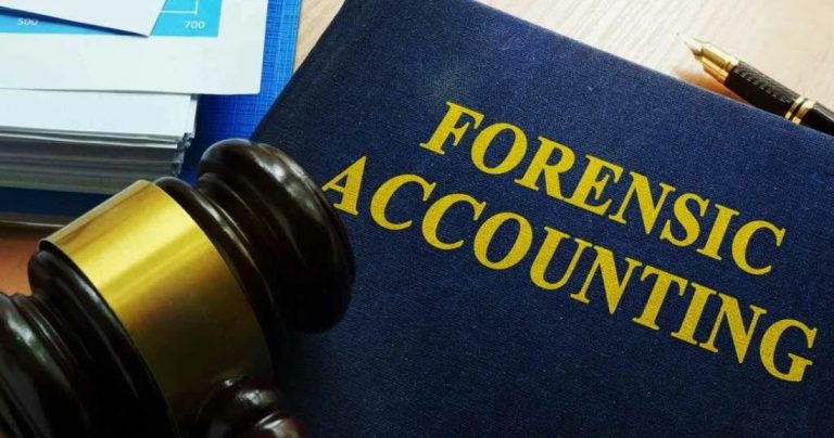 Forensic accounting and financial records in federal criminal cases