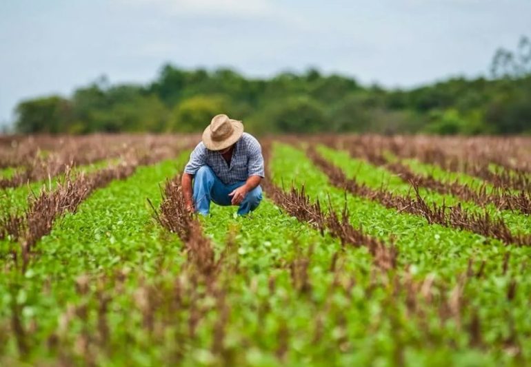 Essential Agriculture Loans Tailored for Magic Valley Farms 